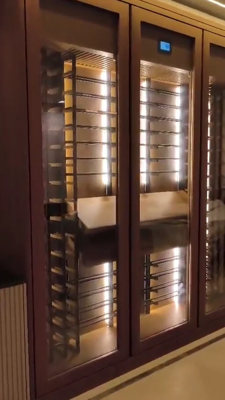 Quadro do vídeo: Adega com portas de vidro e iluminação vertical